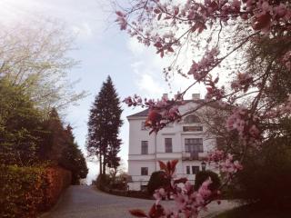 Schlosshotel Burg Schlitz - 1