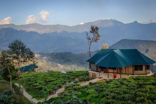 Madulkelle Tea and Eco Lodge - 1