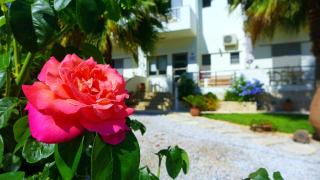 Lion-Suites - Kalyves - 2