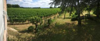 Mirande Montagne-Saint Emilion - Montagne - 9