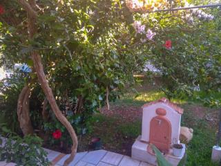 House with Garden near the Sea - Ayia Evfimia - 3