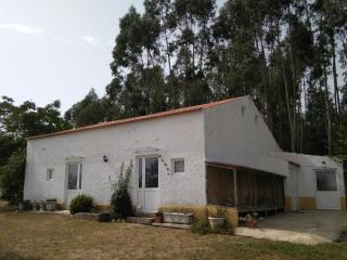 Quinta da Mesa - Macinhata do Vouga - 4