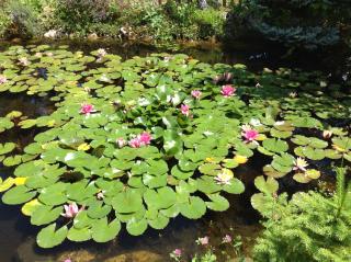 D'un jour à l'autre - 8