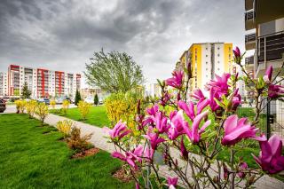 Belle View Apartment Brasov - 5