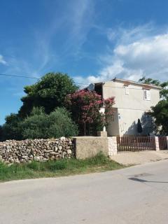 Apartman Nona - Povljana - 0