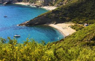 Tenuta Delle Ripalte - Capoliveri - 0