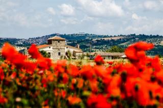 Country Relais La Torretta Baronale - San Giorgio del Sannio - 6