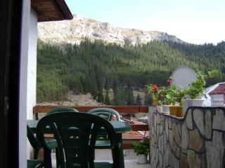 Guest house Denitsa - Trigrad - 5