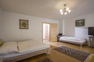 Ferienwohnung Karakas - Going am Wilden Kaiser - 8