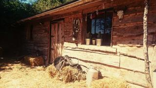 La Cabane Aux Loups - Crépy-en-Valois - 0