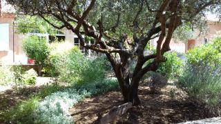 Les Jardins de l'Ermitage - Les Salles-sur-Verdon - 7