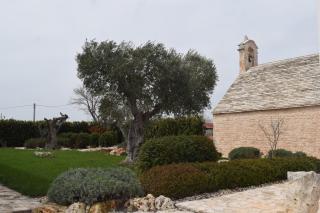 Masseria Corte Masseriola - 7
