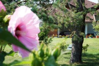 Northwest Studio Apartments - 1