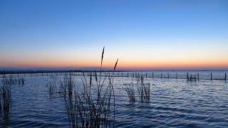 A.J. B&B - Lesina - 3