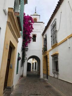 El 5 de la Hoguera - Córdoba - 2