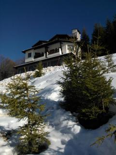 The Poppies House - Pamporovo - 8
