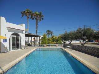Katherina's Studios - Kefalos - 7