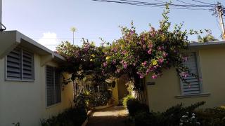 Kingston Cottage - Kingston - 6