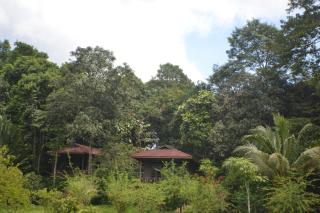 Sepilok Forest Edge Resort - Sepilok - 5