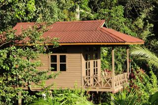 Sepilok Forest Edge Resort - Sepilok - 4