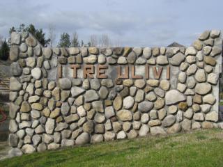 Agriturismo I Tre Ulivi - 5