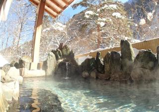 Itoen Hotel Oze Oigami Sanrakuso - Numata - 1