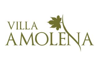Villa Amolena - Kariá - 5