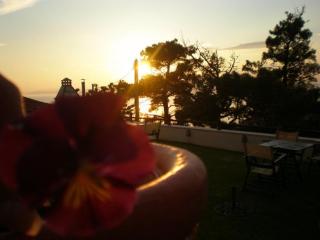 Smaragdi Luxury Apartments - Skala Sotiros - 5