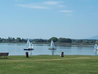 I Tulipani di Anna - 0