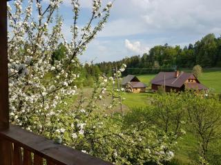 Gościniec Tokarzonka - Istebna - 4