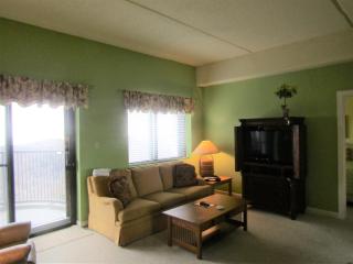 Sugar Top 2210 Condo - Sugar Mountain - 2