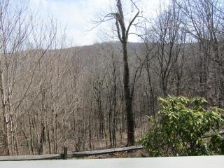 High Ceiling Skyleaf A9 Condo - Sugar Mountain - 9