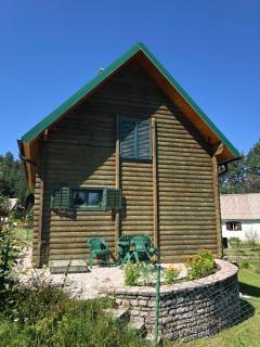 Kuca u borju - House in pines - Žabljak - 6