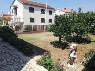 Apartman Mia - Pula - 8