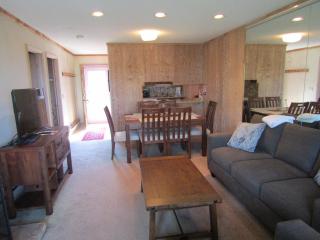 Skyleaf E_17 Condo - Sugar Mountain - 1