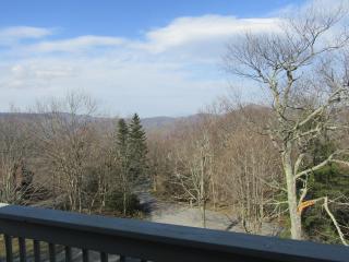 Skyleaf E_17 Condo - Sugar Mountain - 2