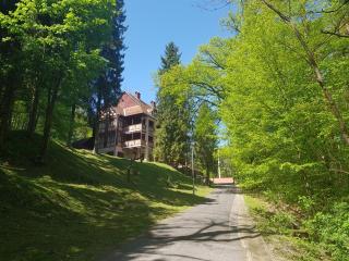 Ezüstfenyő Hotel - 4