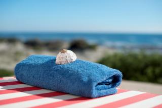 Oystercatcher Villa - 6