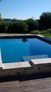 Le clos des abeilles - 8