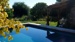 Le clos des abeilles - 3