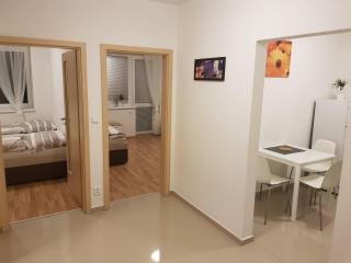 NEWLY BUILT APARTMENT 4 WITH BALCONY NEAR CENTER - Brno - 0