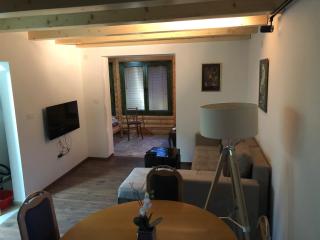 Kuca u borju - House in pines - 4