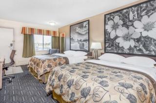 Super 8 by Wyndham Stettler - 6