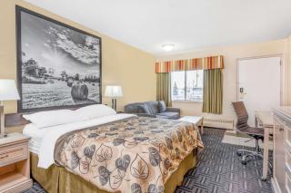 Super 8 by Wyndham Stettler - Stettler - 1