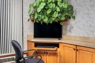 Super 8 by Wyndham Burlington NC - 8