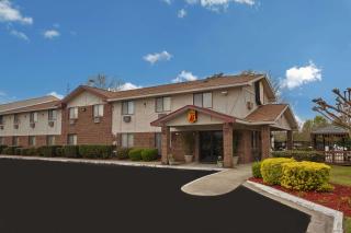 Super 8 by Wyndham Greenville - Greenville - 8