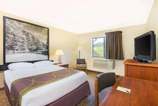 Super 8 by Wyndham Ripley - Ripley - 5
