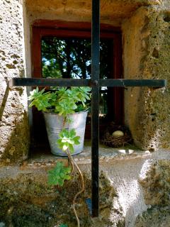 Agriturismo Biologico Sant'Egle - Sorano - 7