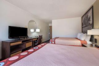 Super 8 by Wyndham College Station - College Station - 7