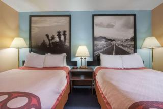 Super 8 by Wyndham College Station - College Station - 6